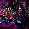 Modern Peacock Centerpiece Detail