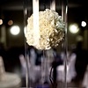 Suspended Carnation Pomander