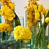 Yellow Reception Arrangements