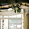 Birch Chuppah