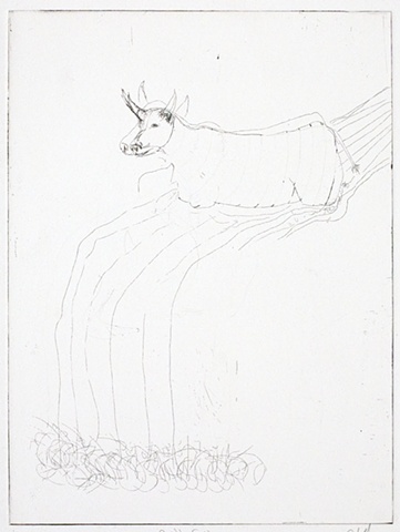 cattle falls