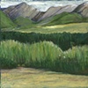 Grassland