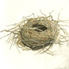 Twiggy Nest