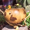 Gourd Vessel