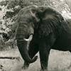 505_Mudbath