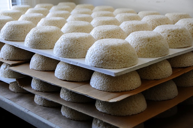 the price of rice