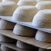 the price of rice