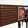 Installation Detail
