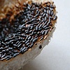 burnt rice