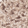 Drawings