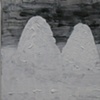 Mountain Ears