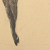Tightrope