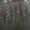 Garden at Night