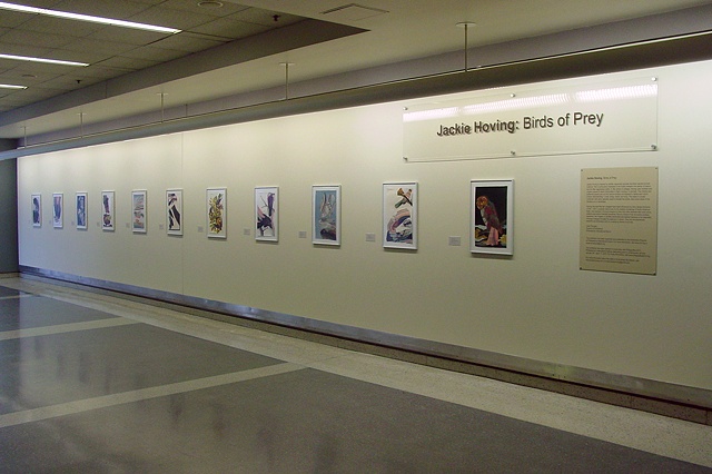 Birds of Prey Installation