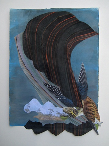 Jackie Hoving