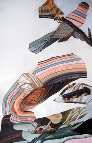 Jackie Hoving