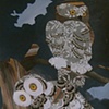 Snowy Owl