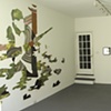 Crypsis Installation