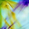 LIGHT PATTERNS