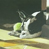 Pig in Sun