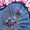 Emergent Series
Insatiable


