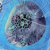 Emergent Series
Emersed

