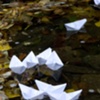 paper boats