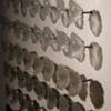eyelid detail
