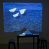 paper boat installation