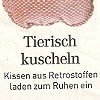 Sonntags Zeitung 23.8.2009 - Trend