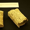 Library Science