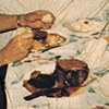 Detail 2, Jello