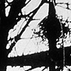 Untitled triptych 2