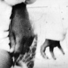 Untitled triptych 1