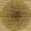 Swarm