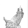 Chicken view 4