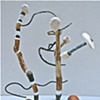 Vine Dance, view 2