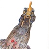 Chicken, view 9