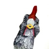 Chicken with Green Tail