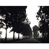 To Modena, Italy