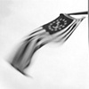 Flag, La Conner WA