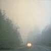 Foggy, Bainbridge Island