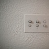 Fixture, Brooklyn