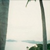 Palms, Mexico