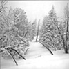 Snow, Mammoth CA