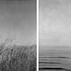 Grass Sea, Prince Edward Island