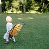 Butterfly Wings, Seattle