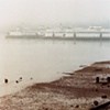 Ferries, Bainbridge Island