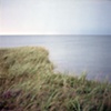 Grass, Prince Edward Island