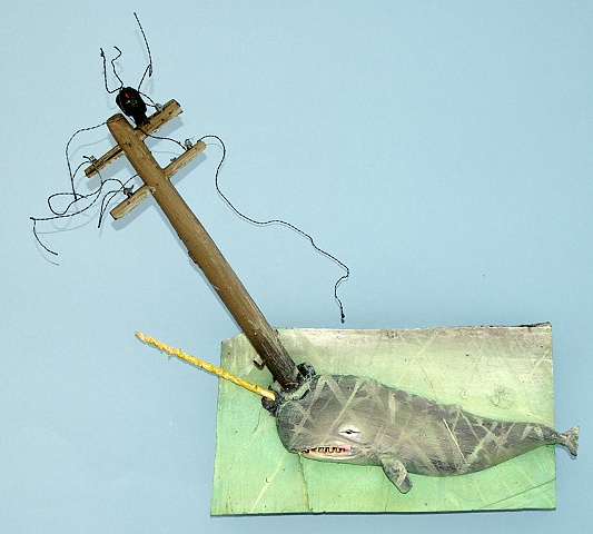 narwhal